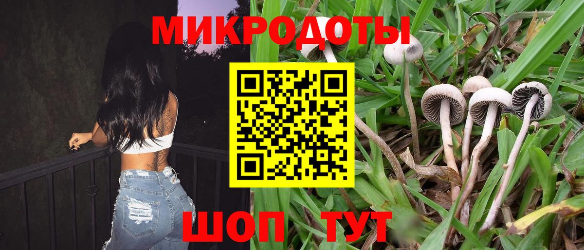 Галлюциногенные грибы мухоморы  Вход с VPN  Псилоцибиновые грибы Magic Shrooms  Строитель 